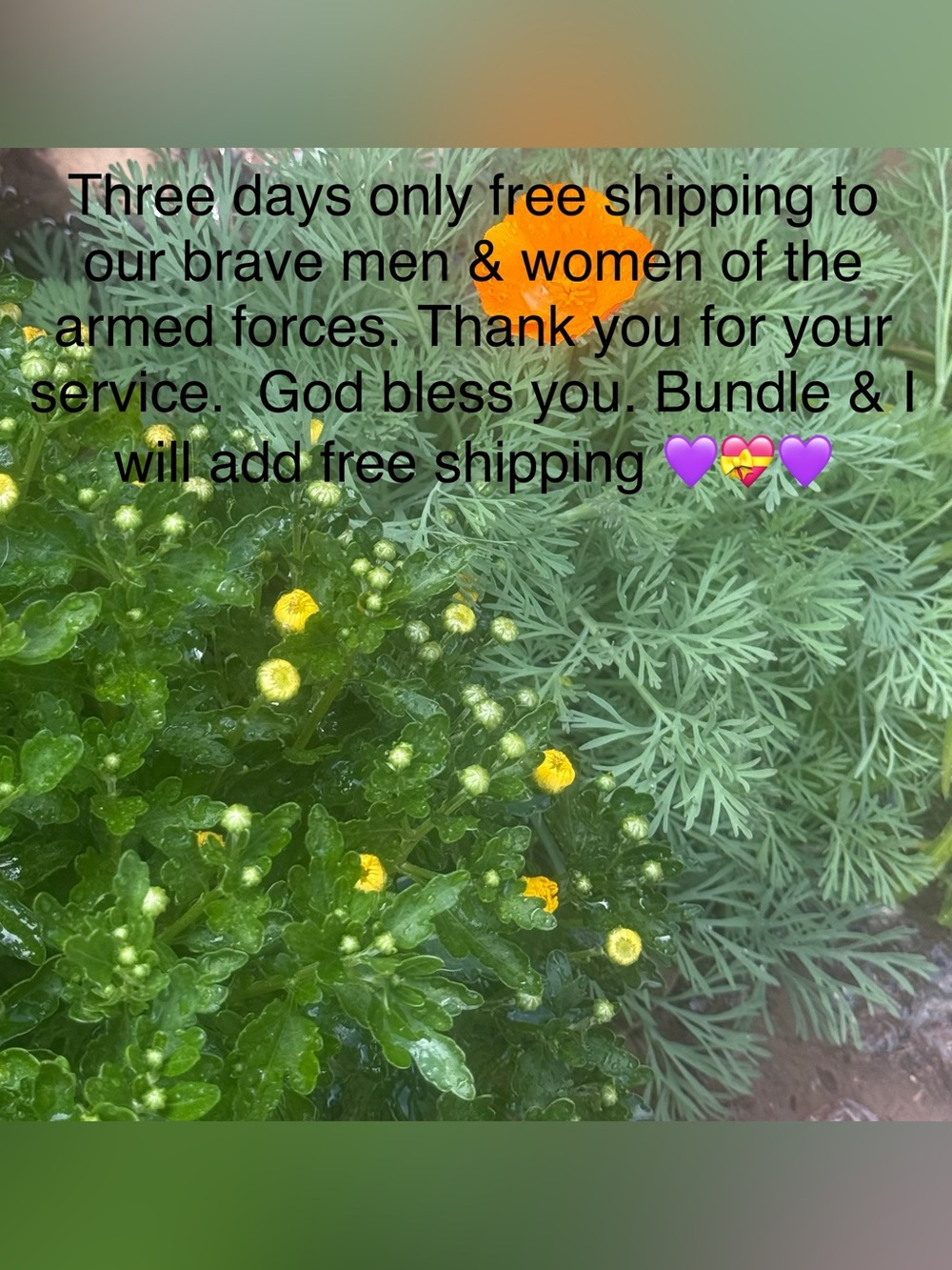 God bless America